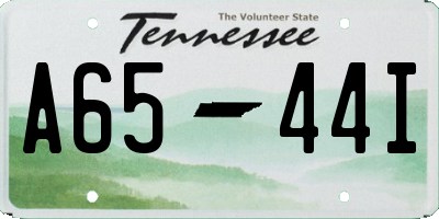 TN license plate A6544I