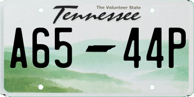 TN license plate A6544P