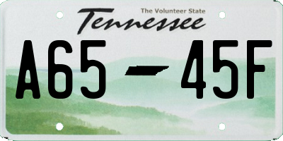 TN license plate A6545F