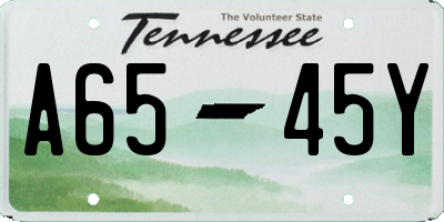 TN license plate A6545Y