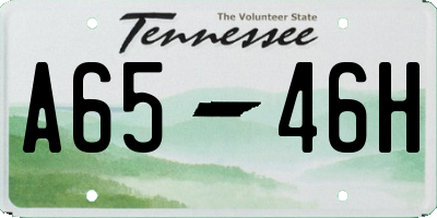 TN license plate A6546H