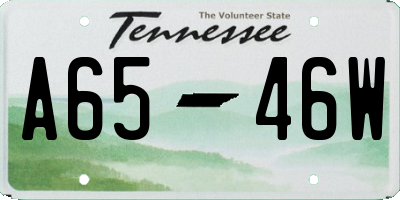 TN license plate A6546W