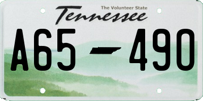 TN license plate A6549O