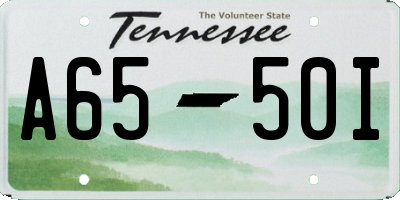TN license plate A6550I