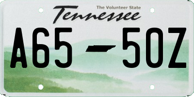 TN license plate A6550Z