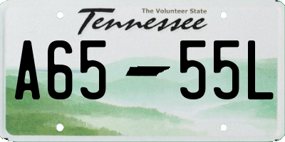 TN license plate A6555L