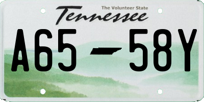TN license plate A6558Y