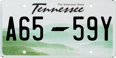 TN license plate A6559Y