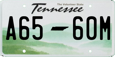 TN license plate A6560M