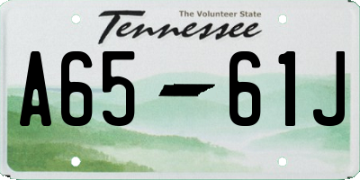 TN license plate A6561J