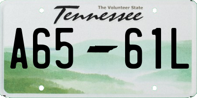 TN license plate A6561L