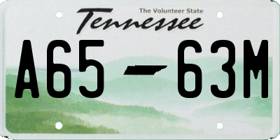TN license plate A6563M