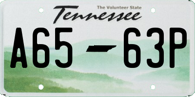 TN license plate A6563P