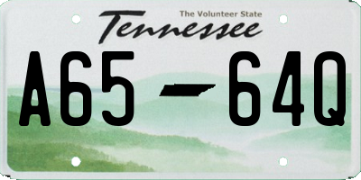 TN license plate A6564Q
