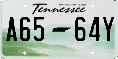 TN license plate A6564Y