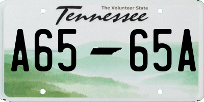 TN license plate A6565A