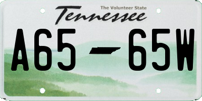 TN license plate A6565W