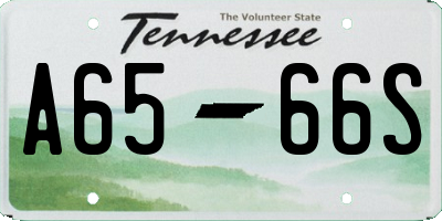 TN license plate A6566S
