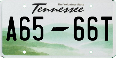 TN license plate A6566T