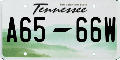 TN license plate A6566W