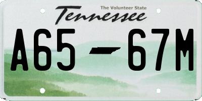 TN license plate A6567M