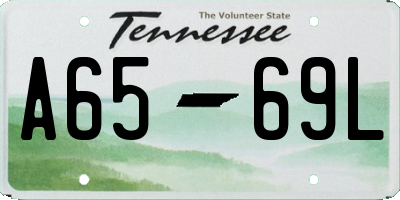 TN license plate A6569L
