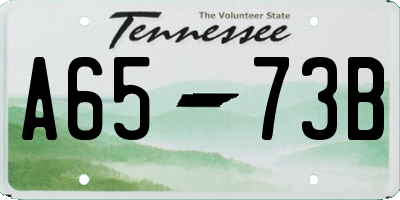 TN license plate A6573B