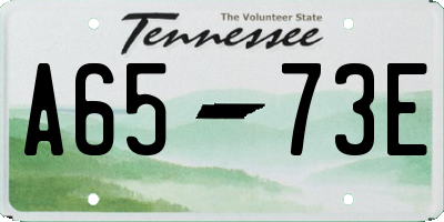 TN license plate A6573E