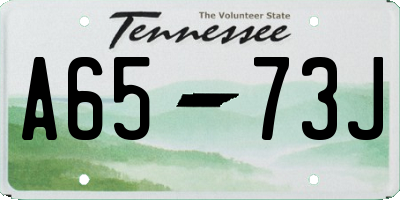 TN license plate A6573J