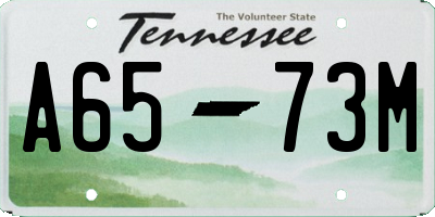 TN license plate A6573M
