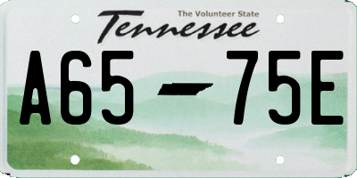 TN license plate A6575E