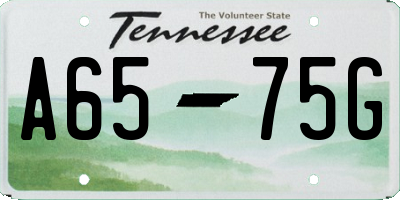 TN license plate A6575G