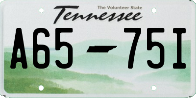 TN license plate A6575I