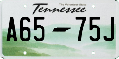 TN license plate A6575J