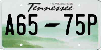TN license plate A6575P
