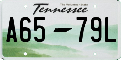 TN license plate A6579L