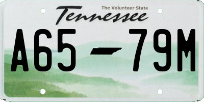 TN license plate A6579M