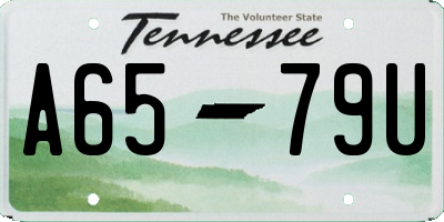 TN license plate A6579U