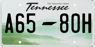 TN license plate A6580H
