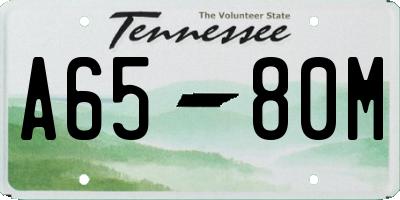 TN license plate A6580M