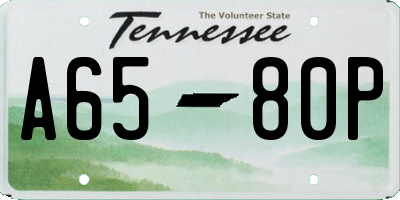 TN license plate A6580P