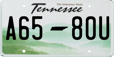 TN license plate A6580U
