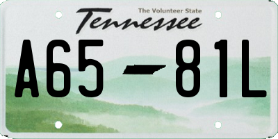 TN license plate A6581L