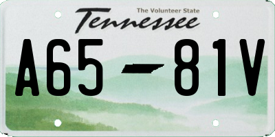 TN license plate A6581V