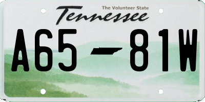 TN license plate A6581W