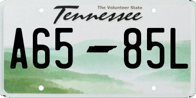 TN license plate A6585L