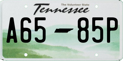 TN license plate A6585P