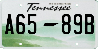 TN license plate A6589B