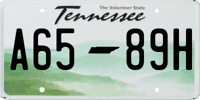 TN license plate A6589H