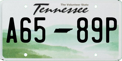TN license plate A6589P